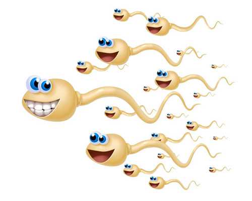 广州紫朵朵供卵等待时间解析与代生服务咨询